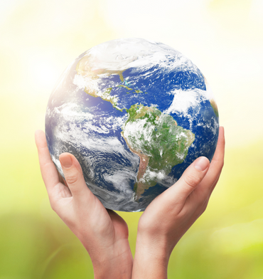 Quallience | Les services environnementaux